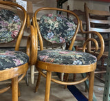 Collection of Floral Cushioned Bentwood Looped Arms Dining Chairs- Set of 4