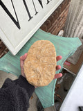 Small Round Stone Fossil