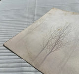 Fleetwood Mac-Bare Trees Vintage Vinyl