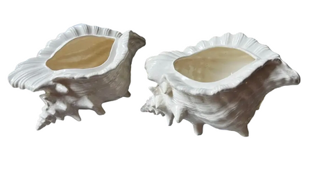 Pair of Large White Ceramic Shell Style Planters