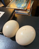 Large Pair of Authentic Ostrich Eggs