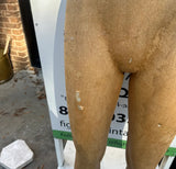 Vintage Sculptural Mannequin Legs