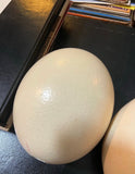 Large Pair of Authentic Ostrich Eggs