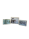 Trio of Gold Frames With Vintage Photos