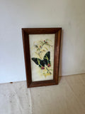 Signed and Framed Watercolor Painting of a Butterfly