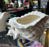 Pair of Large White Ceramic Shell Style Planters