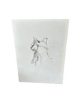 Small Detailed Drawing of a Cat