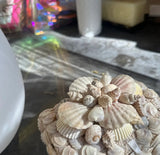 Small Square Shell Jewelry Box