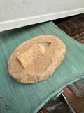 Small Round Stone Fossil