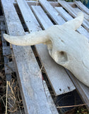 Large Concrete Bull Western Horn