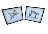 Pair of Monkey Prints