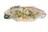 Asian Ceramic Hand Painted Fish Decorative Plate