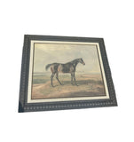 Framed Black Horse on Mountain Top Print on Canvas, Signed by the Artist