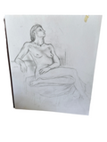 Front and Back Nudist Drawings