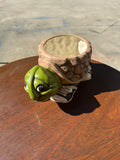 70s Ceramic Hand Painted Turtle Indoor Planter