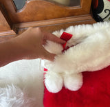 Instant Collection of Red and White Classic Christmas Stockings- Set of 5