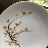 Bavaria by Bareuther Waldsassen Cherry Blossoms Dinnerware - Set of 60 - FREE SHIPPING!