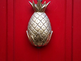 Brass Pineapple Door Knocker - Free Shipping!
