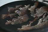 Vintage and Rare Cloisonne Japanese Charger. Chinoiserie. Hollywood Regency. FOr Plate Collection. Enameling and shells