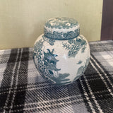 Asian Blue and White Ming Jar